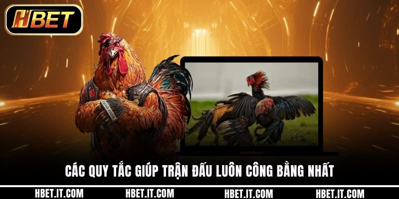 Các quy tắc giúp trận đấu luôn công bằng nhất