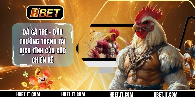 Đá Gà Tre - Đấu Trường Tranh Tài Kịch Tính Của Các Chiến Kê