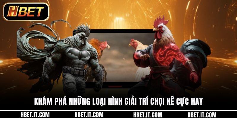 Khám phá những loại hình giải trí chọi kê cực hay