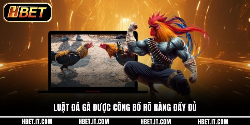 Luật đá gà được công bố rõ ràng đầy đủ