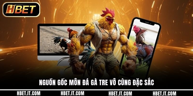 Nguồn gốc môn đá gà tre vô cùng đặc sắc