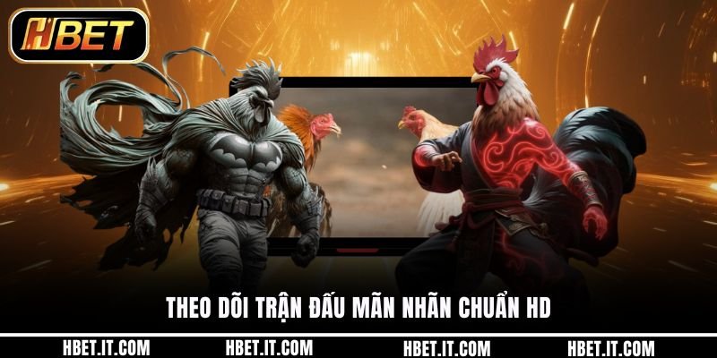 Theo dõi trận đấu mãn nhãn chuẩn HD
