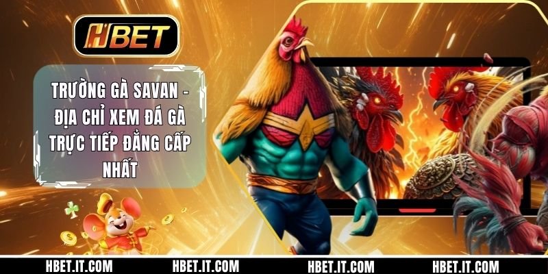 Trường Gà Savan - Địa Chỉ Xem Đá Gà Trực Tiếp Đẳng Cấp Nhất