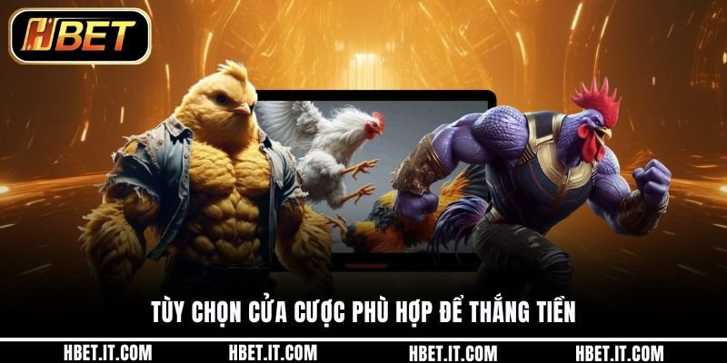 Tùy chọn cửa cược phù hợp để thắng tiền